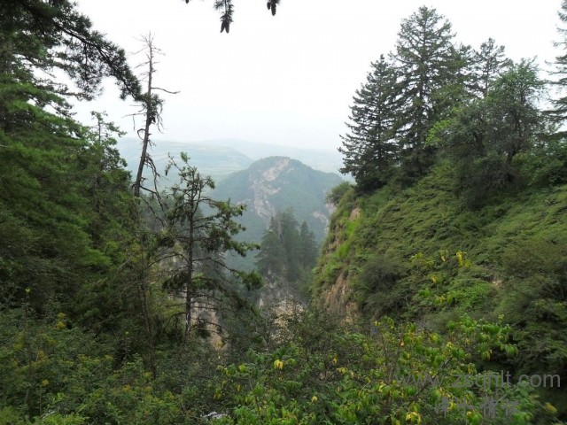 SAM_0499.jpg